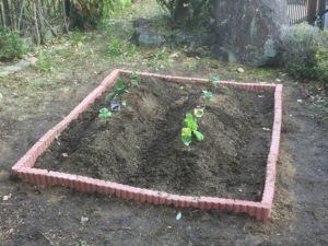 レンガブロックを使って家庭菜園用の畑をDIY♪